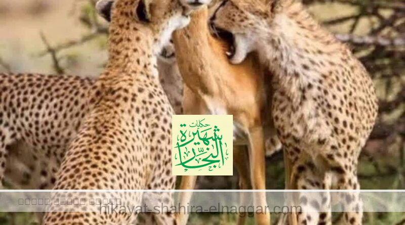 اعطي وقدم تاخد معادلة ربنا واضحة
