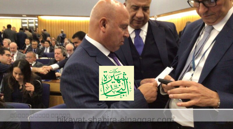 فوز مصر بعضوية مجلس المنظمة البحرية الدولية