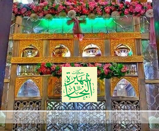 افتتاح مولد السيدة حوريه بنت الامام الحسين افتتاح مولد السيدة حوريه بنت الامام الحسين